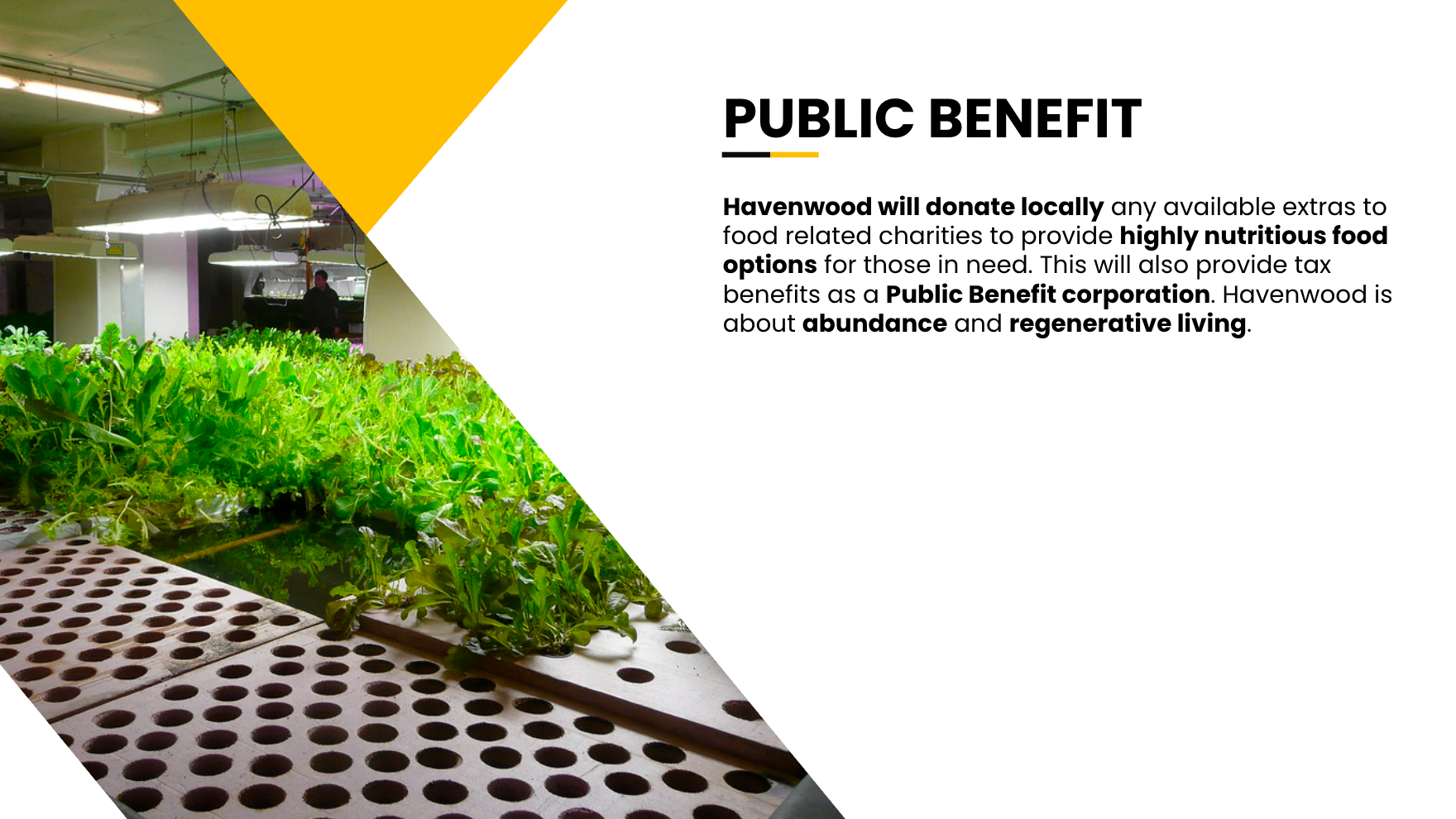 Havenwood Resort Slide 12