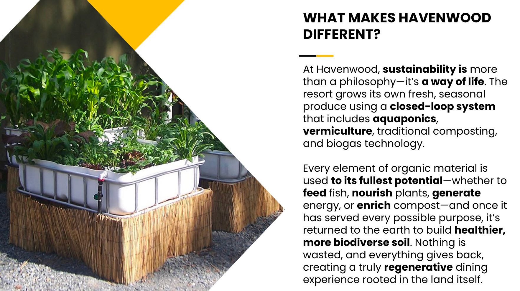 Havenwood Resort Slide 15