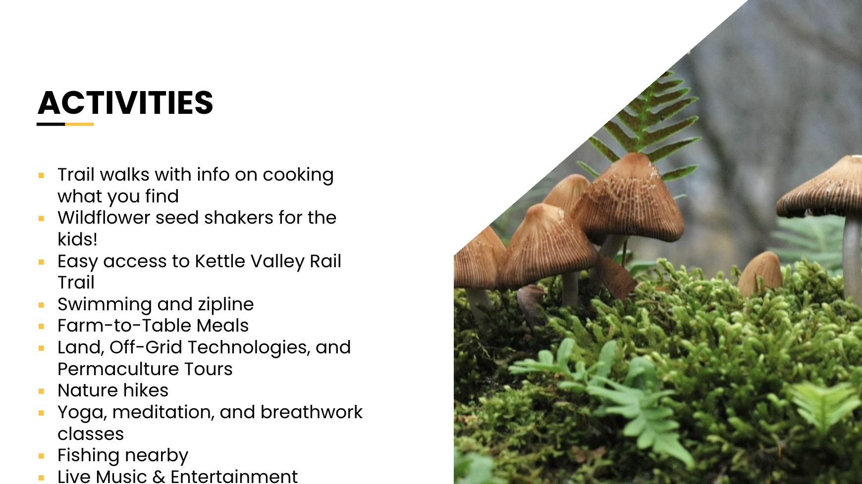 Havenwood Resort Slide 5